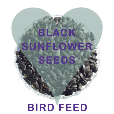 Black Sunflower Seeds Bird Feed