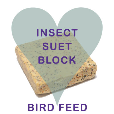 Scoops Insect Suet Block Bird Food