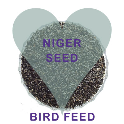 Scoops Niger Seeds Bird Food