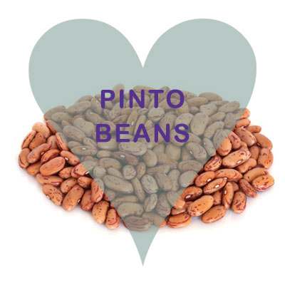 Scoops Pinto Beans