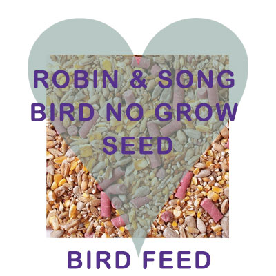 Robin Song bird no grow seed bird food