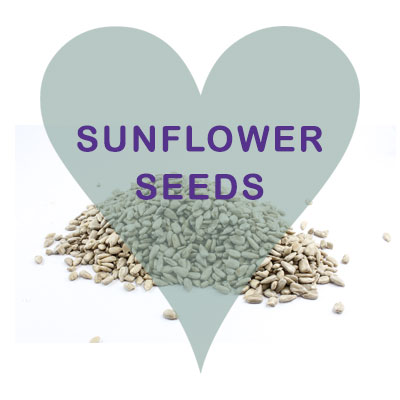 Scoops Sunflower Seeds